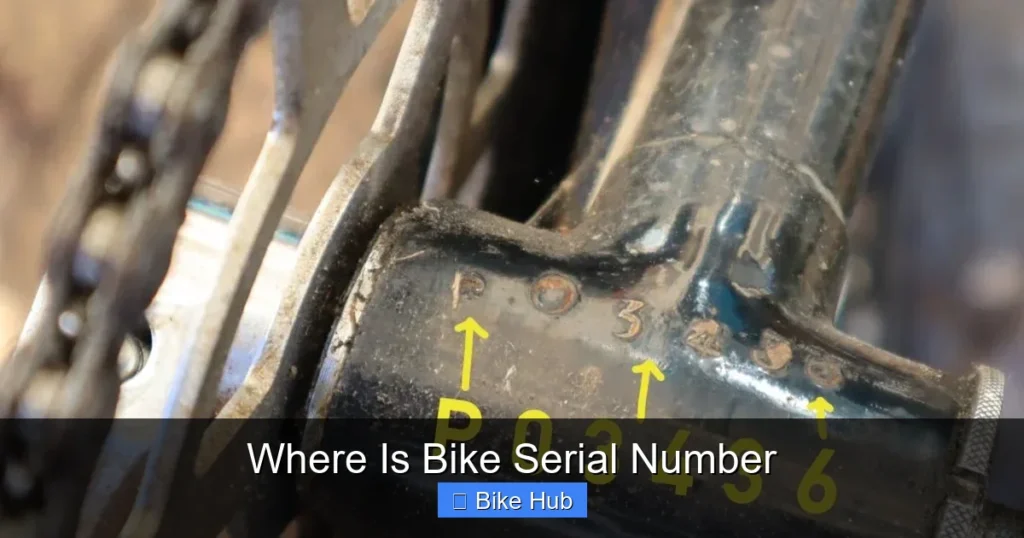 Where Is Bike Serial Number