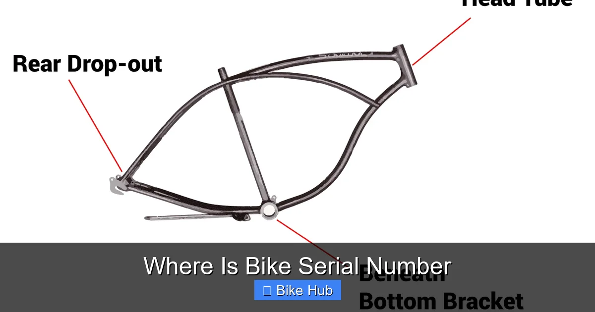 Where Is Bike Serial Number