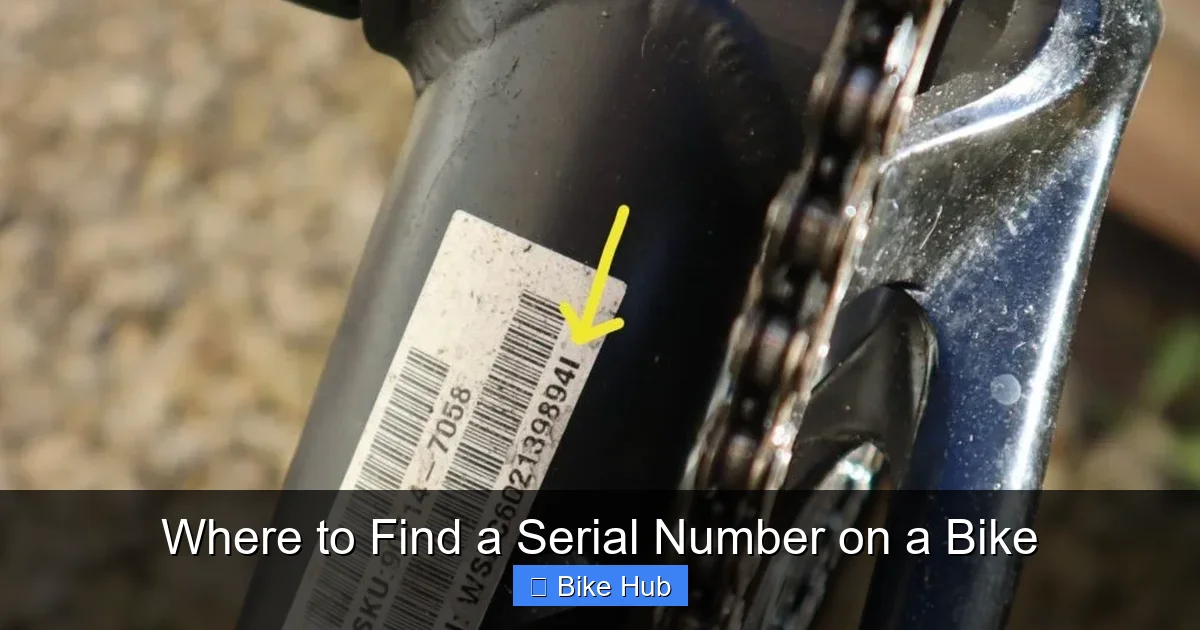 Where to Find a Serial Number on a Bike