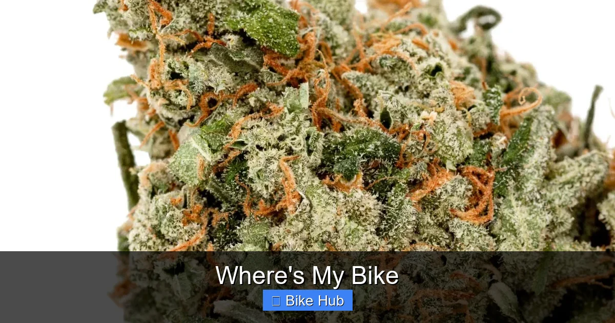 Where's My Bike