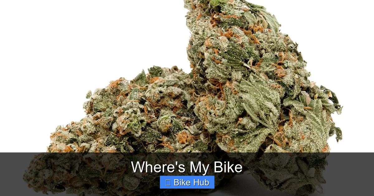 Where's My Bike