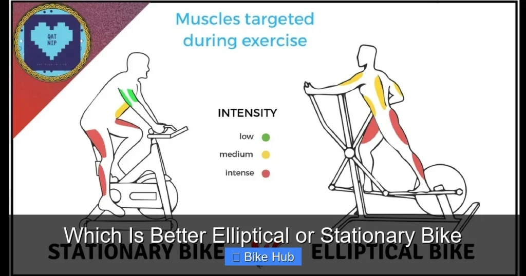 Which Is Better Elliptical or Stationary Bike