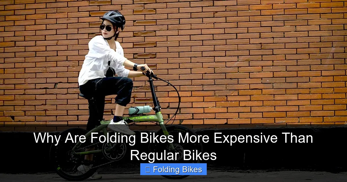 Why Are Folding Bikes More Expensive Than Regular Bikes