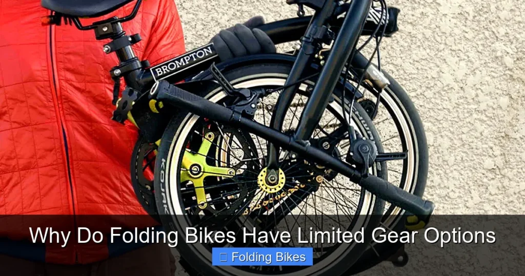 Why Do Folding Bikes Have Limited Gear Options