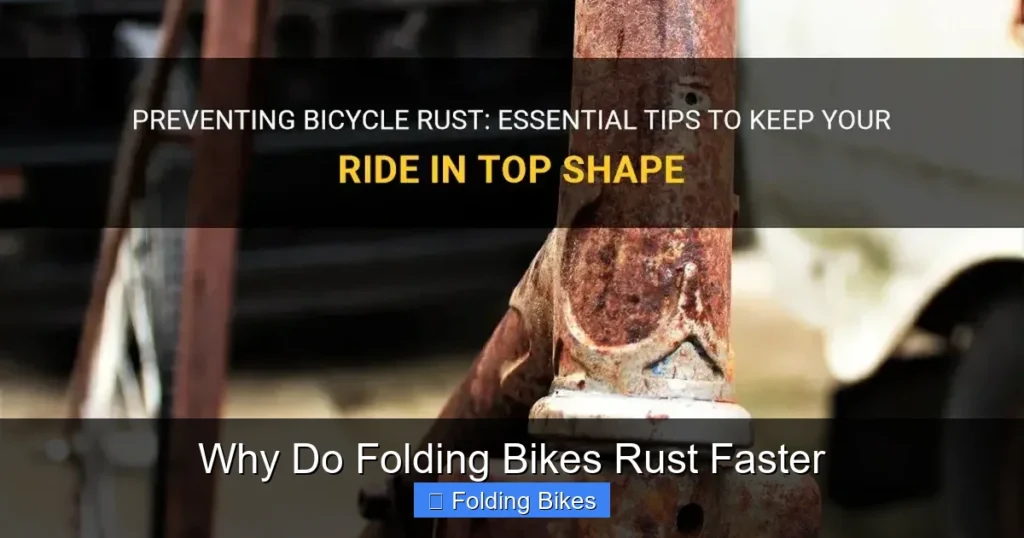 Why Do Folding Bikes Rust Faster