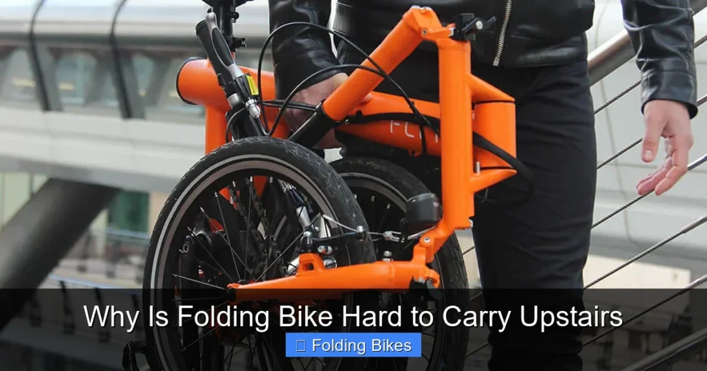 Why Is Folding Bike Hard to Carry Upstairs