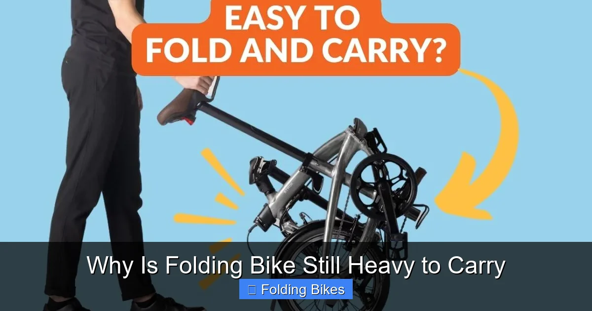 Why Is Folding Bike Still Heavy to Carry