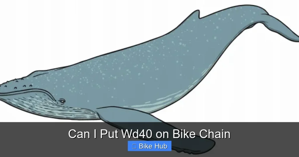 Can I Put Wd40 on Bike Chain