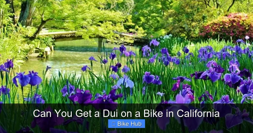 Can You Get a Dui on a Bike in California