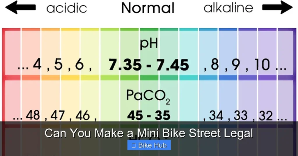 Can You Make a Mini Bike Street Legal
