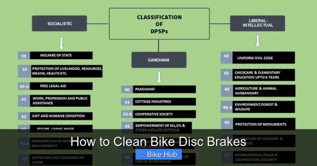 How to Clean Bike Disc Brakes