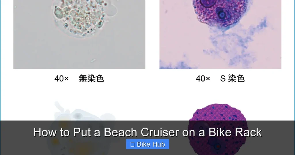 How to Put a Beach Cruiser on a Bike Rack