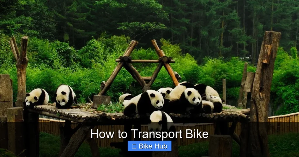 How to Transport Bike