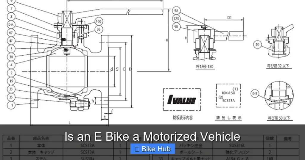 Is an E Bike a Motorized Vehicle