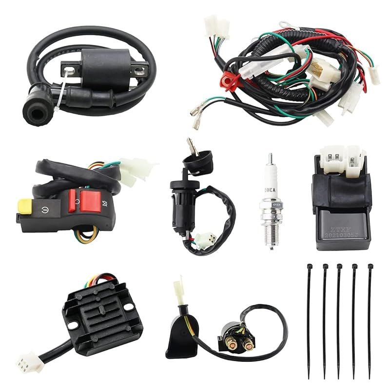 PRO BAT Complete Wiring Harness Kit with CDI for 150cc-250cc Chinese D