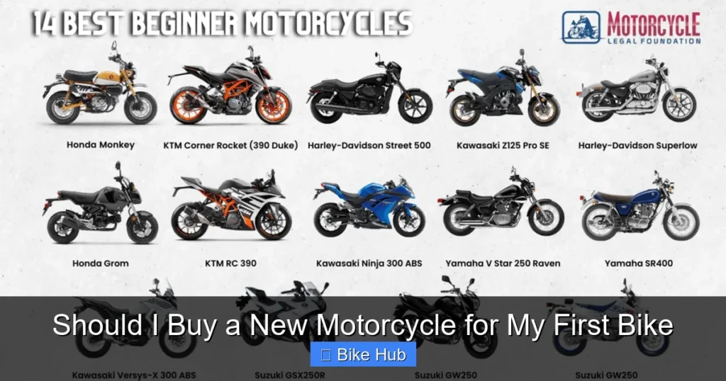 Should I Buy a New Motorcycle for My First Bike
