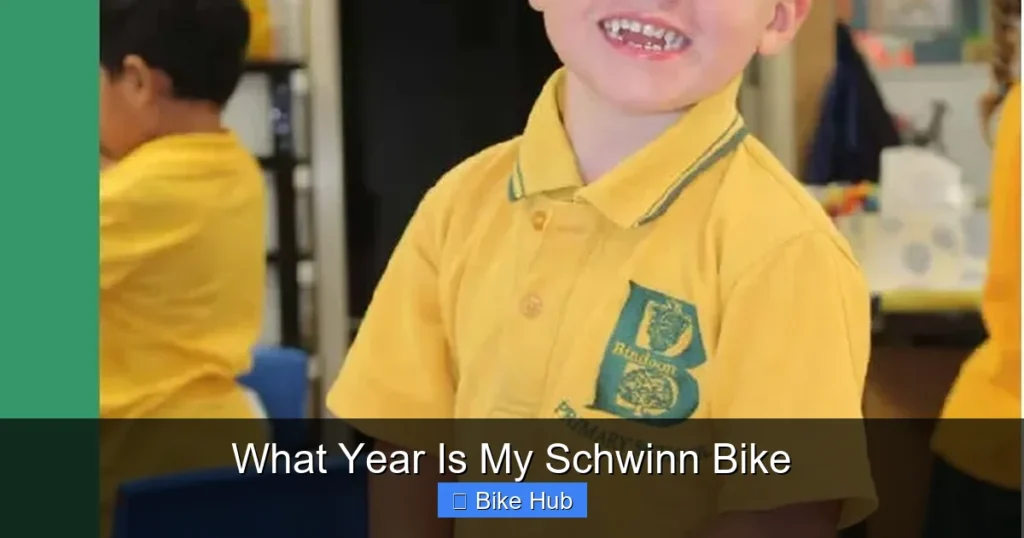 What Year Is My Schwinn Bike