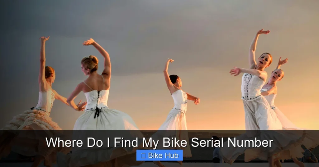 Where Do I Find My Bike Serial Number