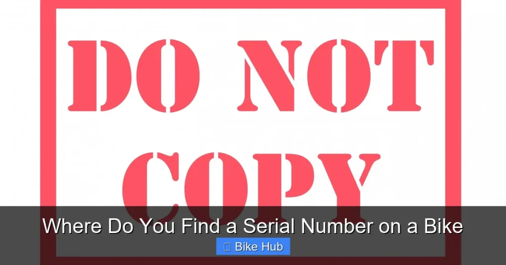 Where Do You Find a Serial Number on a Bike